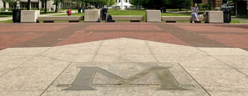 Michigan Diag M Logo